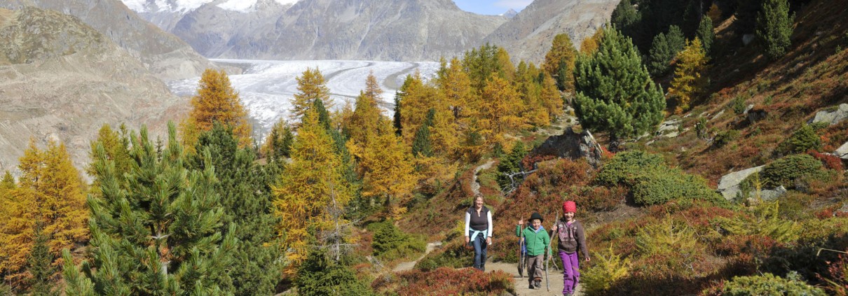 Aletsch Arena: Wanderung im Herbst am Aletschgletscher